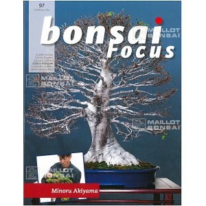 Bonsai focus magazine 97