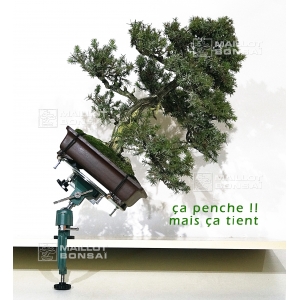 table-orientable-pour-bonsai