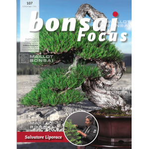 Bonsai focus magazine 107