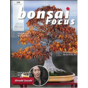 Bonsai focus magazine 108