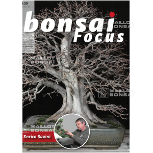 Bonsai focus magazine 109