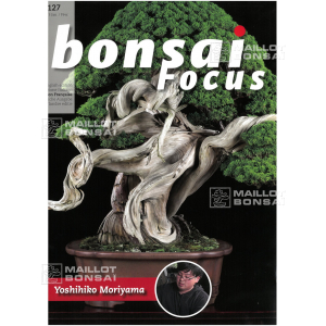 bonsai-focus-n-127