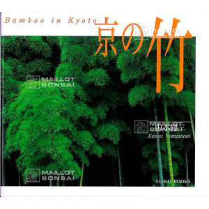 bamboo-in-kyoto-by-kenzo-yamamoto-suiko-books