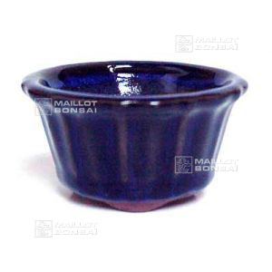 D2 curved-lip blue mini pot