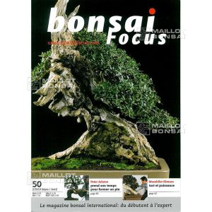 vendu-bonsai-focus-n-50