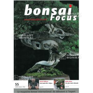 BONSAI FOCUS N° 55