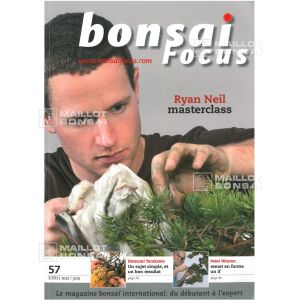 bonsai-focus-n-57