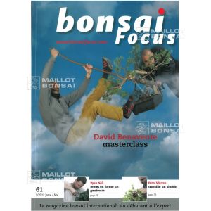 BONSAI FOCUS N° 61