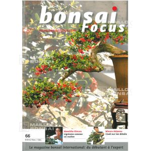 bonsai-focus-n-66