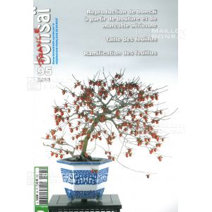 france-bonsai-n-95