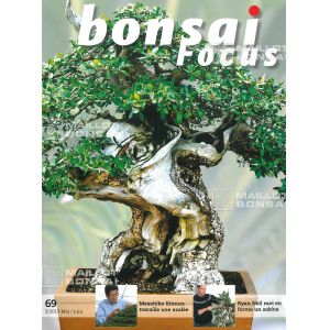 bonsai-focus-n-69