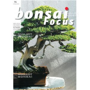 bonsai-focus-n-74