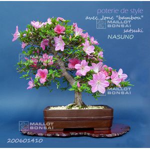 rhododendron-l-nasuno-ref-200601410