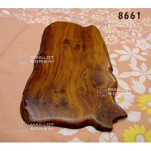 jita-wooden-bonsai-presentation-shelf-ref-8661