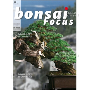 Bonsai focus 83