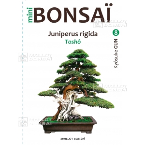 mini-bonsai-n-8-genevrier-rigida-kyosuke-gun