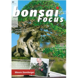 bonsai-focus-n-89
