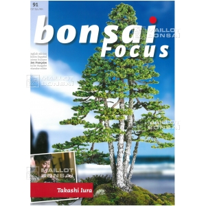 bonsai-focus-n-91