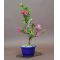 VENDUrhododendron tateyama no mai ref : 280501423
