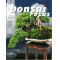 Bonsai focus 80