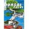 Bonsai focus magazine 90