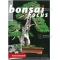 Bonsai focus magazine 93