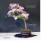VENDU rhododendron kumpu  ref :10060151