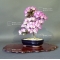 rhododendron l. mangetsu ref :220501533