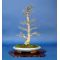 vendu acer palmatum shishigashira ref:200601411