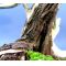 juniperus rigida bonsai ref:10120141