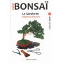 Mini bonsai Juniperus Chinensis handbook N°2