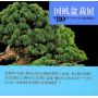 kokufu-ten bonsai catalogue 80 XL (2006)