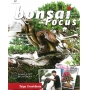 Bonsai focus magazine 87