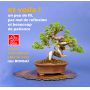 VENDU juniperus chinensis itoigawa ref230701412