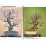 France bonsai le bois mort N° 105