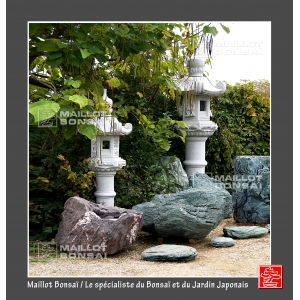 Maillot bonsai le spécialiste du bonsai et du jardin japonais.