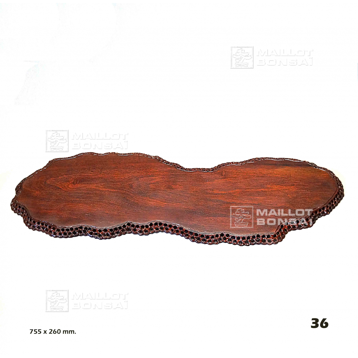 roter bambus 'chinese wonder Fargesia scabrida 'Asian Wonder' / Roter Bambus XXL