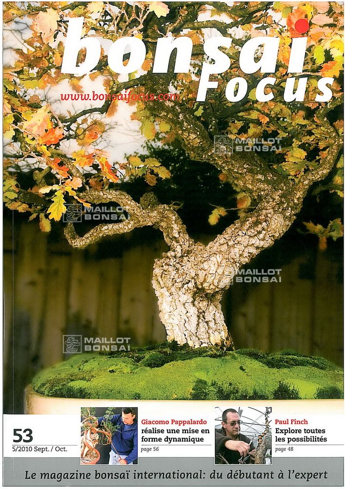 magazine BONSAI FOCUS N 53 from Maillot-Bonsa - The store MAILLOT-BONSAI