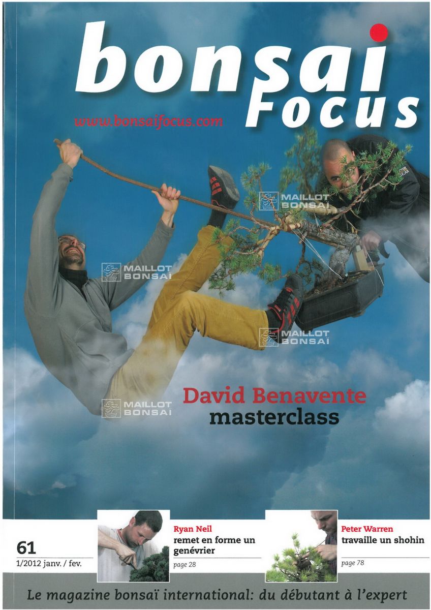 magazine BONSAI FOCUS N 61 from Maillot-Bonsa - The store MAILLOT-BONSAI