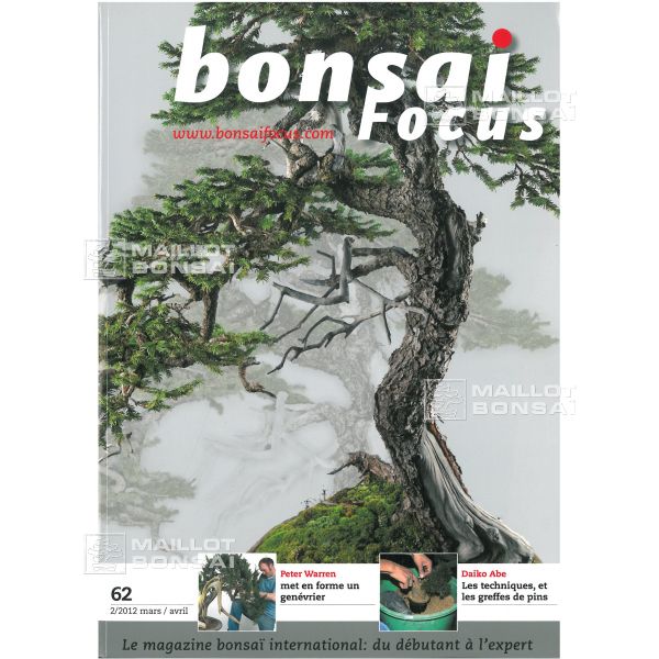 magazine bonsai focus N 62 from Maillot-Bonsa - The store MAILLOT-BONSAI