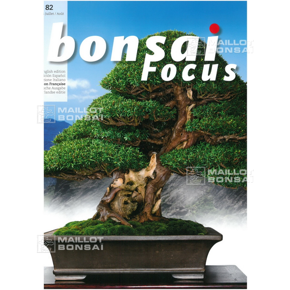 magazine Bonsai focus 82 from MaillotBonsaï The store MAILLOTBONSAI