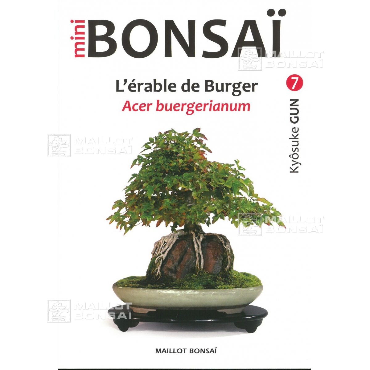 Livres Mini bonsai N°7 érables de burger K Gun de MaillotBonsaï La boutique MAILLOTBONSAI