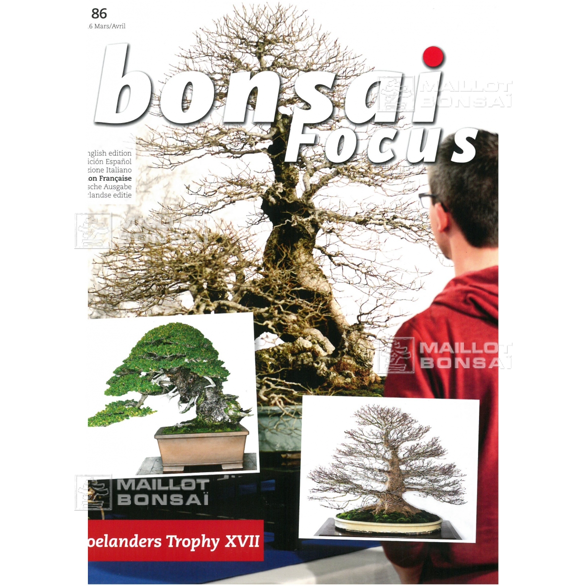 magazine Bonsai focus magazine 86 March/April 2016 from Maillot-Bonsa -  The store MAILLOT-BONSAI