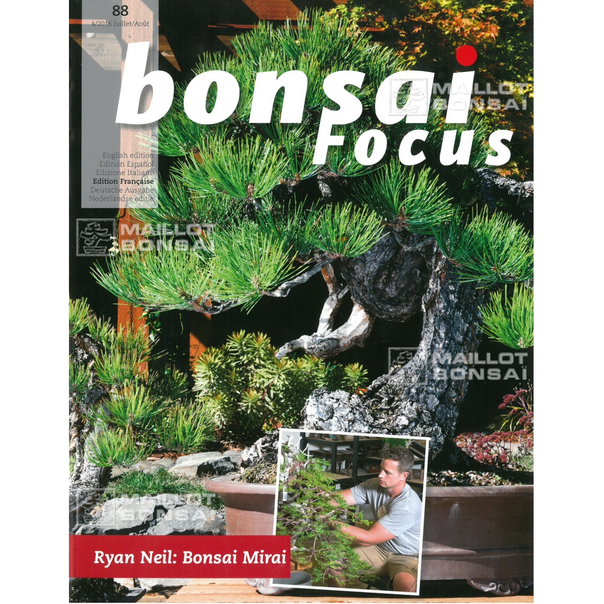Magazines BONSAI FOCUS N° 88 de MaillotBonsaï La boutique MAILLOTBONSAI
