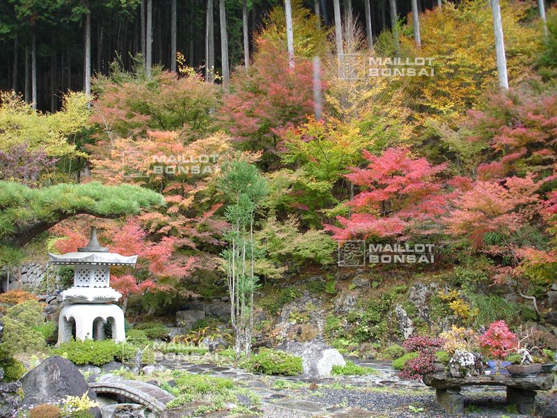 Solid japansk stenlykta Tachi-Gata Kasuga gjord av gjuten sten, frostsäker