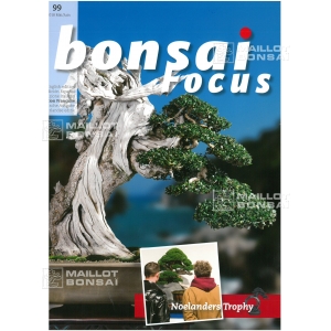 BONSAI FOCUS N° 99