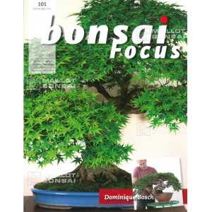 Bonsai focus magazine 101