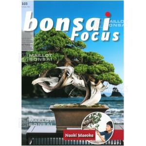 Bonsai focus magazine 103