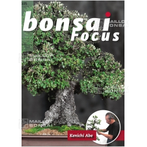 bonsai-focus-n-105