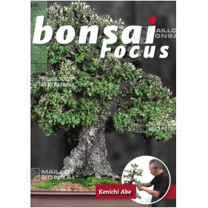 Bonsai focus magazine 105